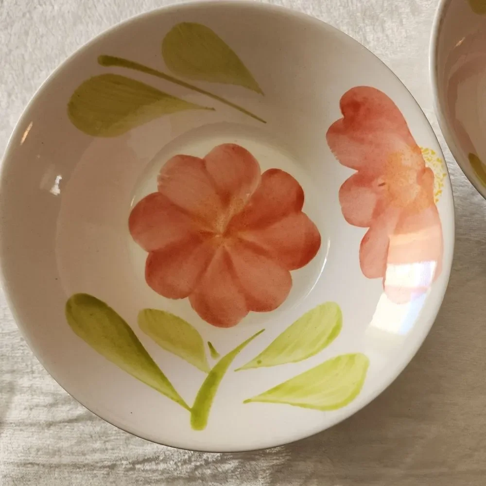 Set of Two Vintage Alco 7 Inch Hand Painted Cereal Bowls Made in